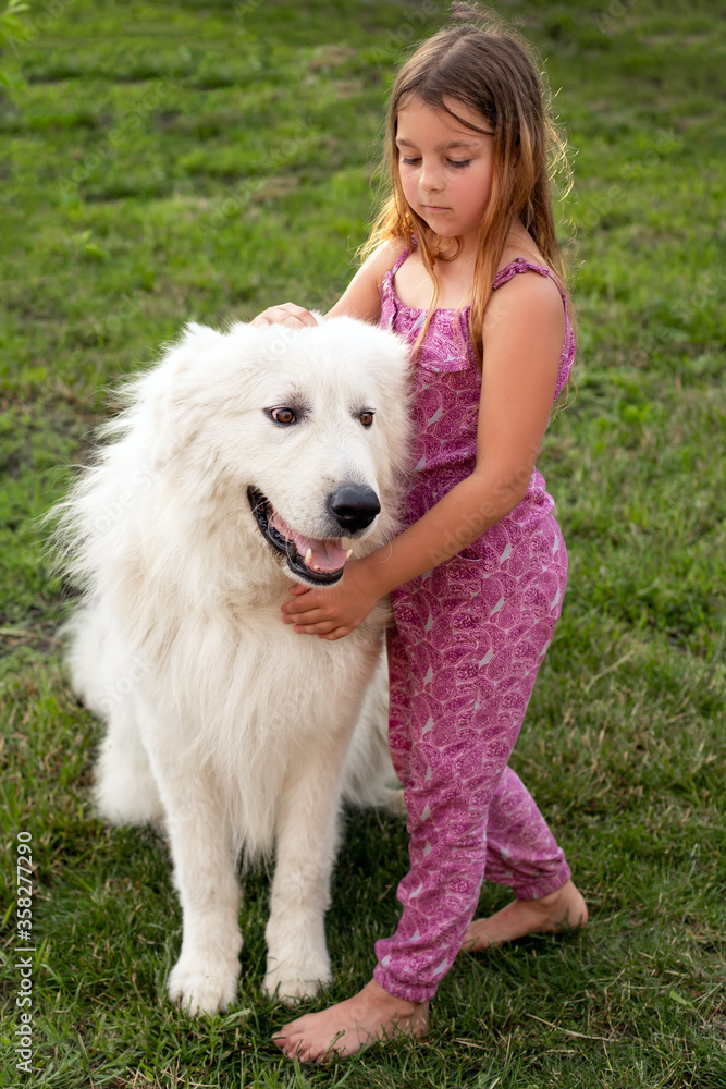 a sweet smiling girl of seven with her friend a Maremma dog on a green lawn a sweet smiling girl of seven with her friend a Maremma dog on a green lawn