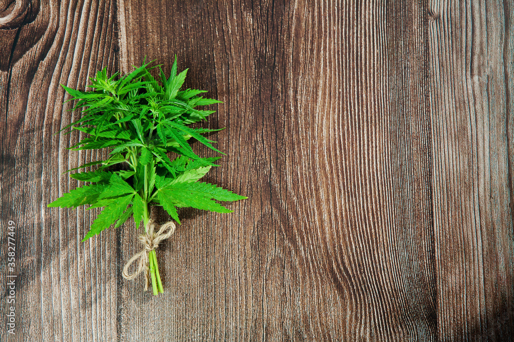 Hemp plant branch on wooden background. Medical marijuana. Concept of herbal alternative medicine, cbd oil, pharmaceptical industry. Copy space. Hemp plant branch on wooden background. Medical marijuana. Concept of herbal alternative medicine, cbd oil, pharmaceptical industry. Copy space.