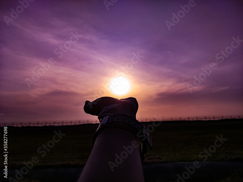 silhouette of a woman looking at sunset