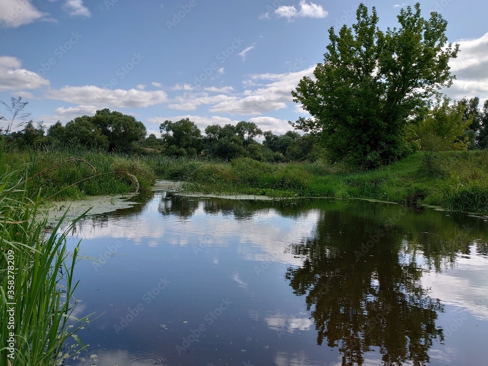 Calm counryside river