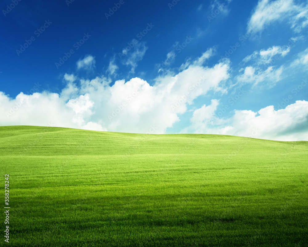 field of grass and perfect blue sky field of grass and perfect blue sky
