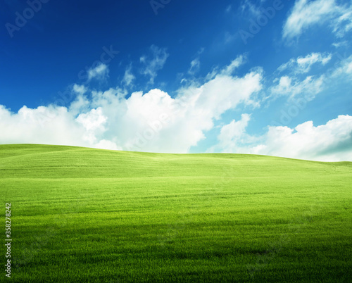 field of grass and perfect blue sky