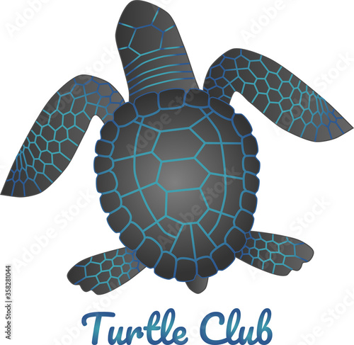 Vector flat gradient colored grey and blue, sea turtle with text, isolated on white background