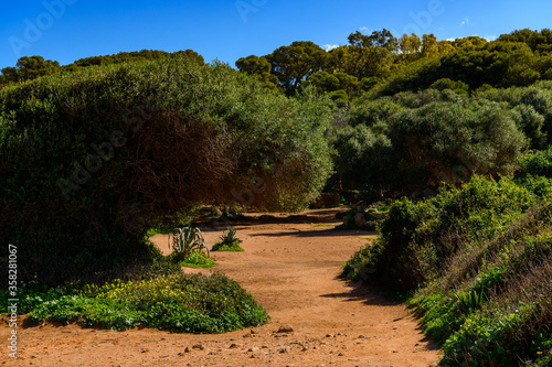 Fotografie Tipasa, a colonia in Roman province Mauretania Caesariensis, nowadays Algeria