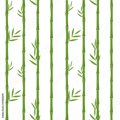 Fototapeta Naklejka Na Ścianę i Meble -  Green bamboo seamless vector pattern background