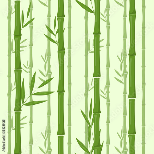 Set of vector bamboo isolated on white