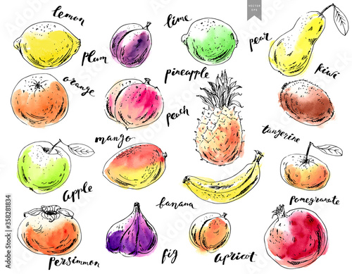 Hand drawn ink sketch and watercolor stain fruits with lettering.