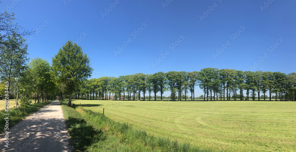 Farmland panorama around Halle