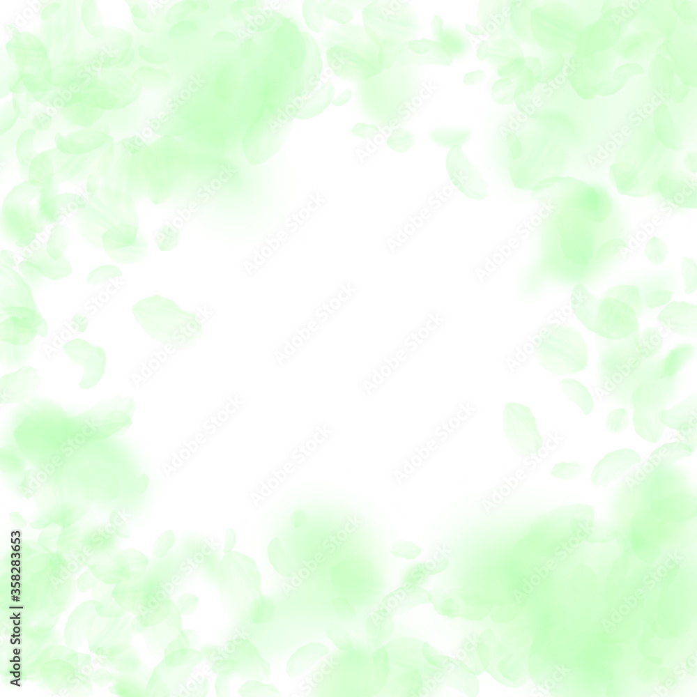 Green flower petals falling down. Appealing romant Green flower petals falling down. Appealing romant