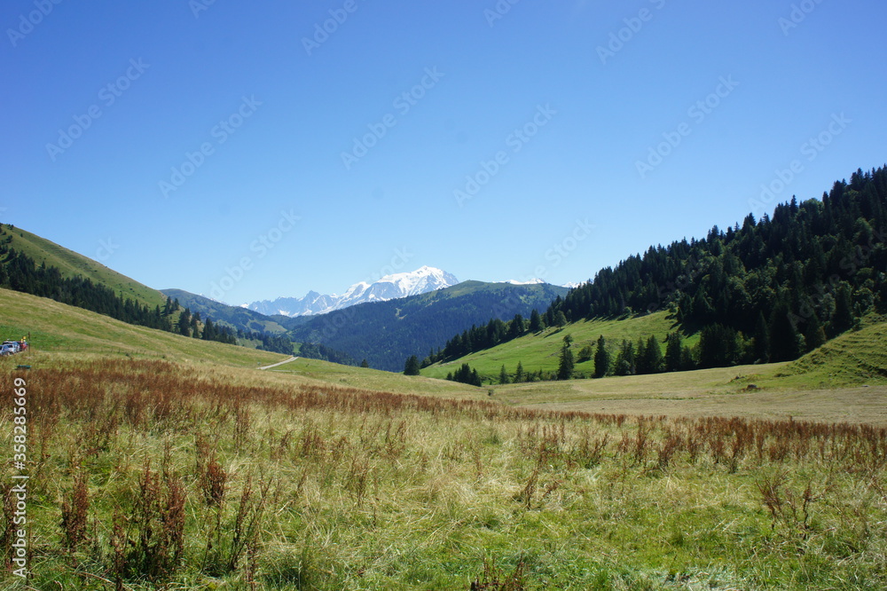 Obraz premium SONY DSC