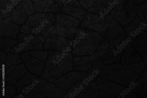 black background texture © Sarawut