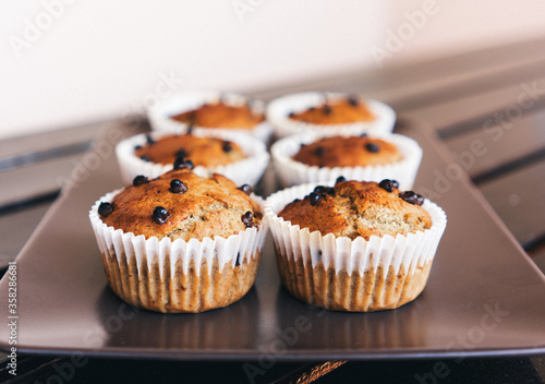 Chocolate chip cupcake muffins
