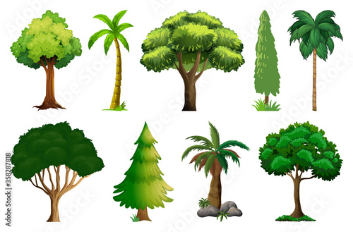 Set of variety plants and trees