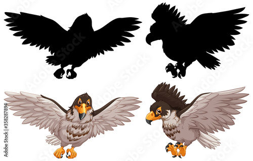 Set of hawk and its silhouette