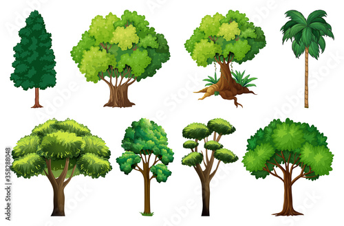 Set of variety plants and trees