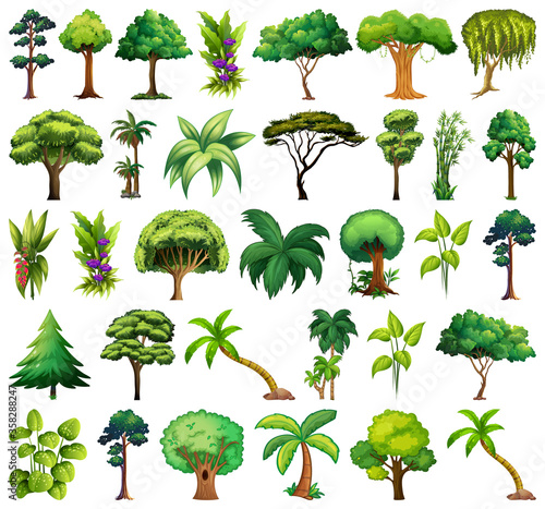 Set of variety plants and trees