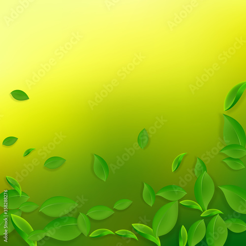 Falling green leaves. Fresh tea chaotic leaves fly