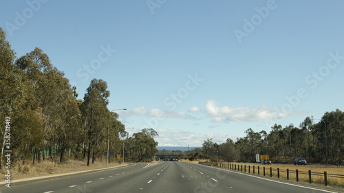 Road full of trees