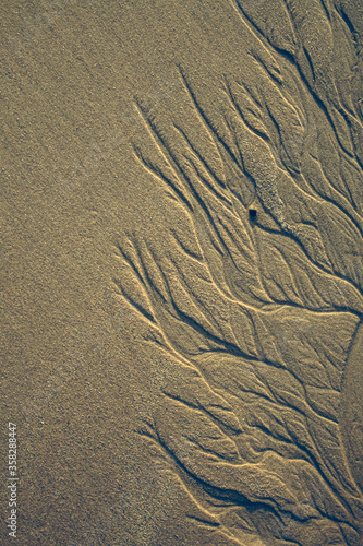 Lines In The Sand