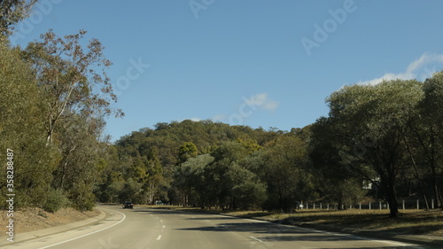 Road full of trees