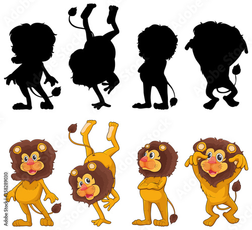 Lion with its silhouette