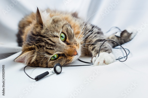 The cat is lying with music headphones. The pet is playing with the wires