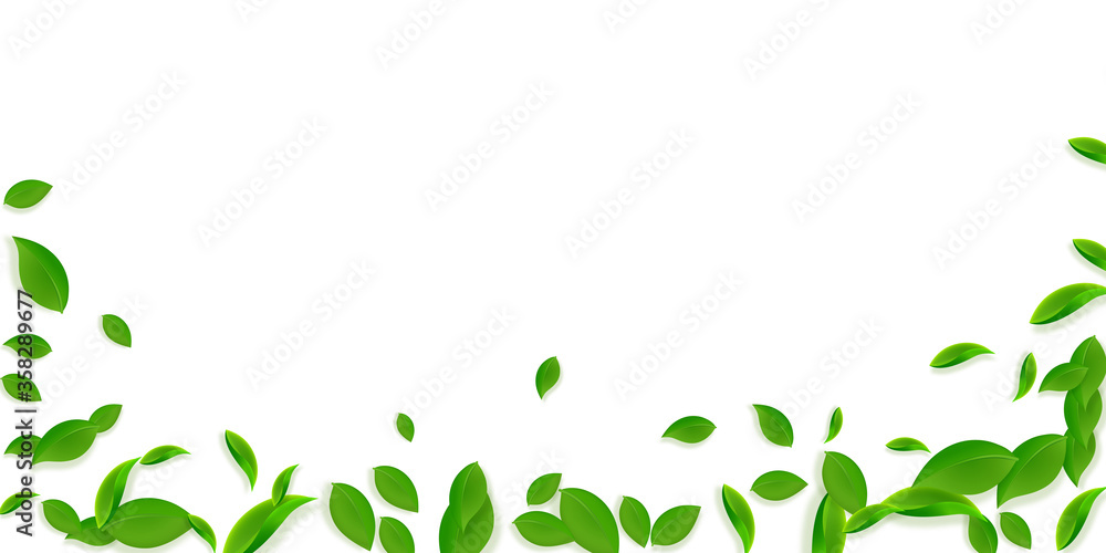 Falling green leaves. Fresh tea chaotic leaves fly Falling green leaves. Fresh tea chaotic leaves fly
