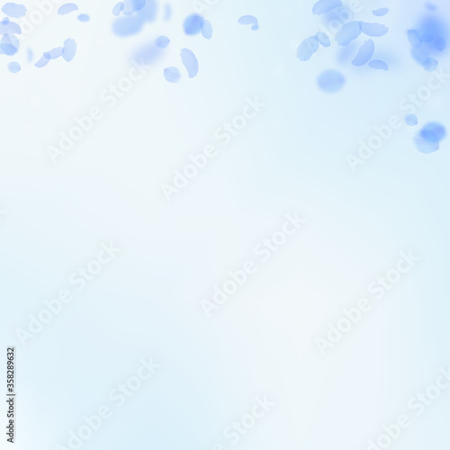 Dark blue flower petals falling down. Powerful rom
