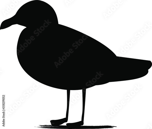 bird silhouette on isolated background, vector drawing a seagull, black silhouette on a white background