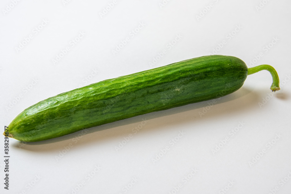 Single green fresh cucumber on a white background Single green fresh cucumber on a white background