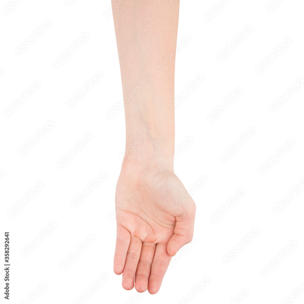 Open one  palm of the girl - a blank for design, close up of womans cupped hands showing something, top view. Isolate on a white background.