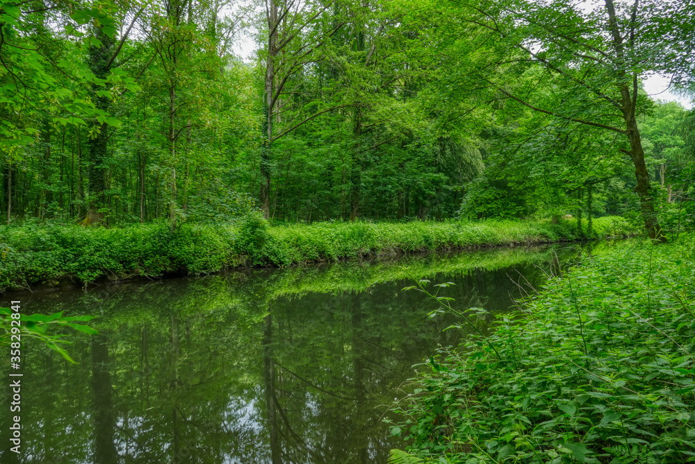 Blick auf den Obergraben neben der Wupper bei Solingen im Sommer Blick auf den Obergraben neben der Wupper bei Solingen im Sommer