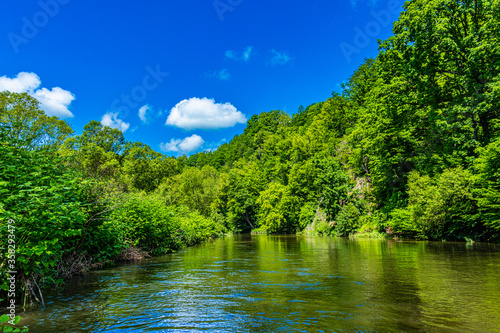 River in the forest with blue sky and white clouds in a summer