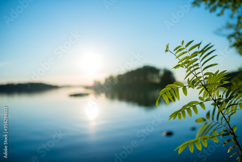 Fototapeta finnish summer sunset midsummer bright outside lakeside