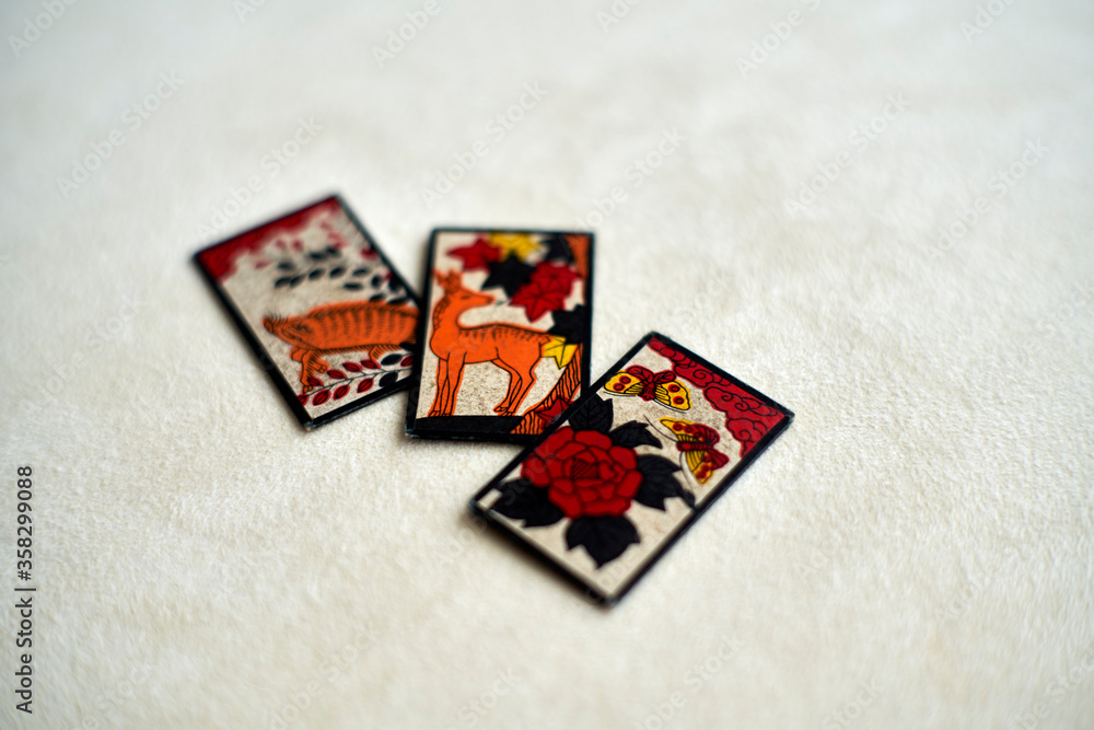 44 Best 猪鹿蝶 Images Stock Photos Vectors Adobe Stock