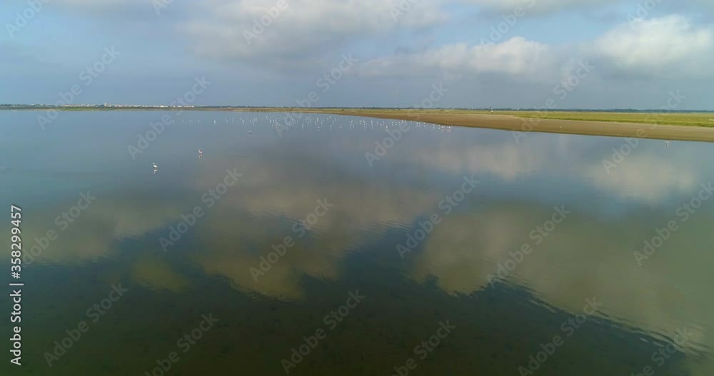 Aerial shot of flamingos flapping wings on lake, drone ascending forward over birds against sky on sunny day - Camargue, France Aerial shot of flamingos flapping wings on lake, drone ascending forward over birds against sky on sunny day - Camargue, France