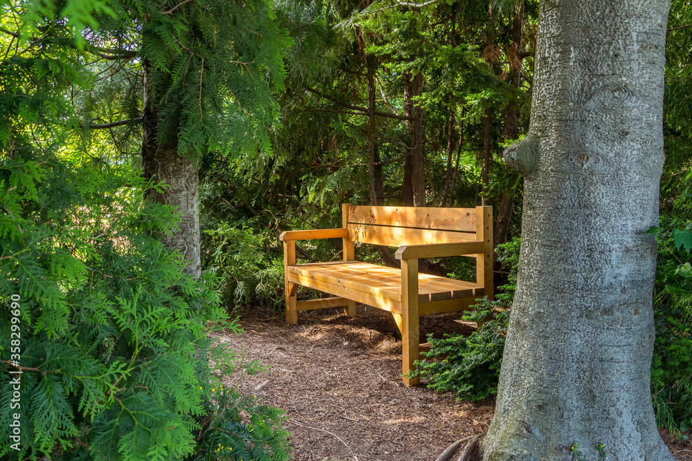 Wooden bench in the Park among the trees. Recreation area in the Park. Privacy in the shade and tranquility. The place of love dates in the city Park. Bench among the green firs.