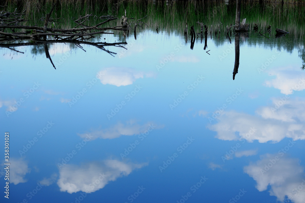 A color photograph of a lake that beautifully reflects the blue sky and white clouds with reeds and dry trees and branches in the background. The pond is like a mirror. A color photograph of a lake that beautifully reflects the blue sky and white clouds with reeds and dry trees and branches in the background. The pond is like a mirror.