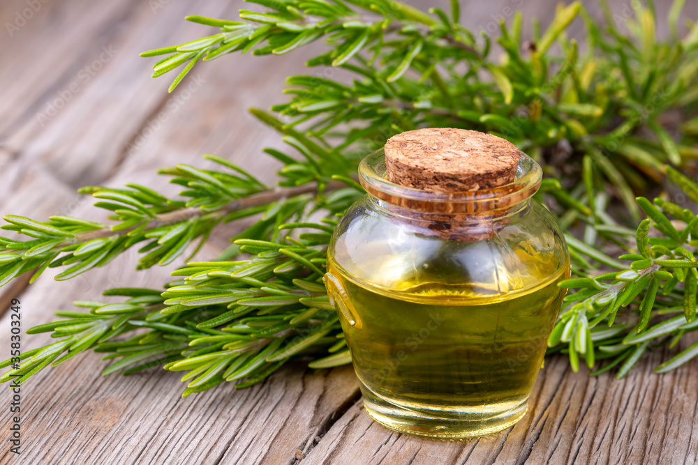 Green rosemary and rosemary oil Green rosemary and rosemary oil