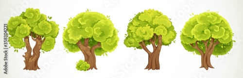 Set of four old big thick trees with summer green foliage vector drawing isolated on white background