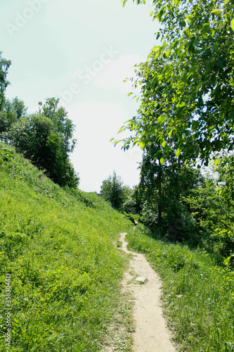 road in the forest