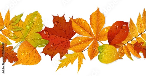 Seamless curb of autumn leaves isolated on white background