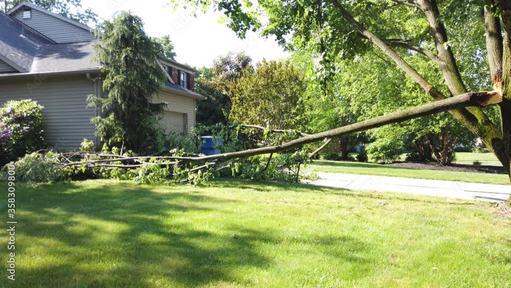 Pan left view of a large broken tree branch down in front of a house after a fierce wind and rain storm 