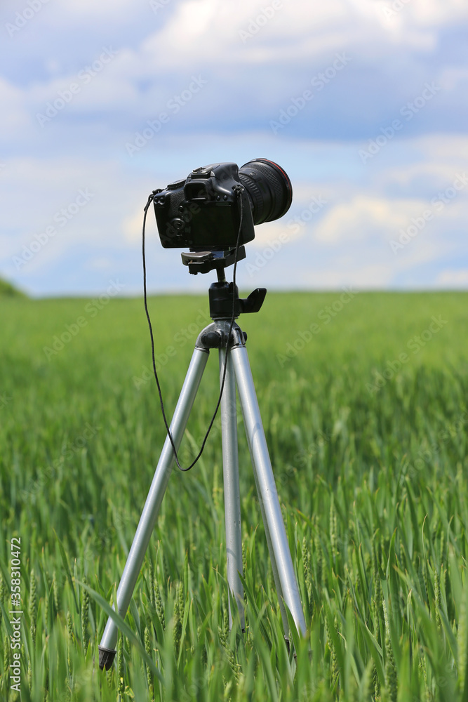 Photocamera on tripod on meadow Photocamera on tripod on meadow