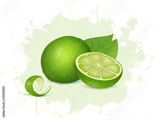 Green Lemon vector illustration with half piece of lemon with lemon leaves