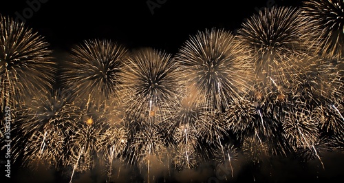 Wallpaper Mural Phoenix fireworks at Nagaoka Fireworks Festival in Nagaoka City, Niigata Prefecture (Japan) on August 2, 2019. This firework is made in prayer for the reconstruction and revitalization of the area. Torontodigital.ca