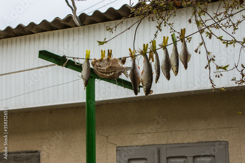 Cooking dried fish in Vylkove. Ukraine photo