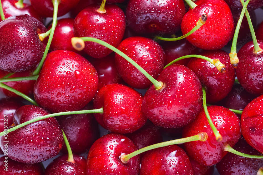 Lot of fresh, raw cherry, water drops Lot of fresh, raw cherry, water drops