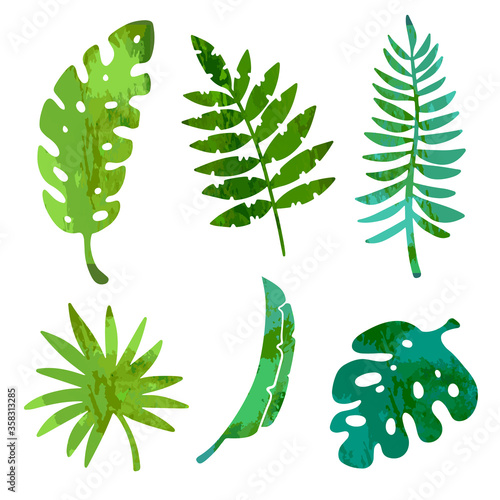 Tropical leaves set isolated on white background
