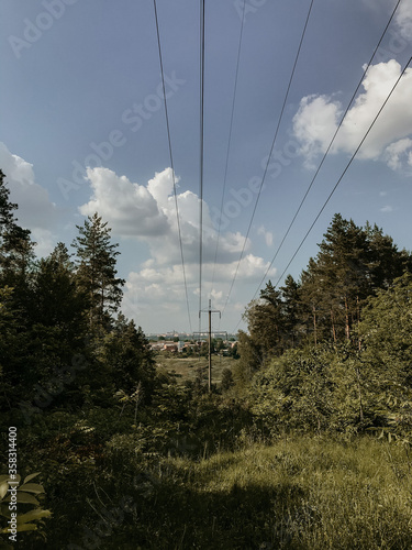 power line in the forest